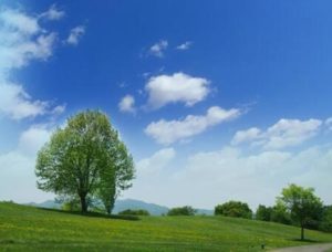 POCCOサマーフェスティバル2021