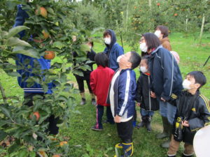 りんごがりをしてきました☆