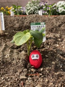 ポコⅠの活動～WAROCK(ワロック)～