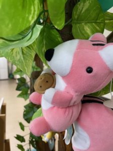 ポコ１活動の様子